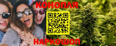 сатива Нарткала