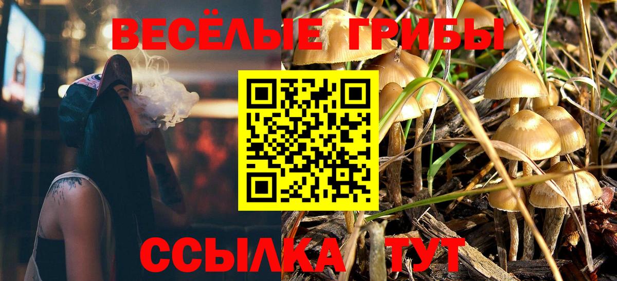 наркота  Псилоцибиновые грибы Psilocybe  Сланцы  Вход с VPN  Галлюциногенные грибы мицелий 